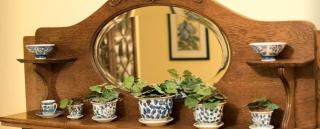 Elegant Bed and Breakfast Suite for Three Guests in Sparta, North Carolina - Sparta - 3