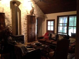 Stunning Luxury Estate on Private Lake in Texas Hill Country near Austin - Driftwood - 9