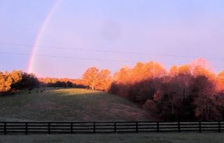 Two-Bedroom, One Bathroom Cottage on 250-Acre Cattle Farm for Getaway near Richmond, Virginia - Scottsville - 6