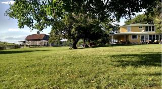 Breathtaking Cottage Rental on 100 Acres on the Shenandoah River, Virginia - Front Royal - 8