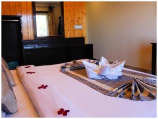 A LUXUARY HOTEL KISHNA # PALACE PREMUIM Near The Mall Road - A Luxury Room With Newly Decorated and Renovated Room - with Wifi - Room Service Available - Book Now - Masuri - 6