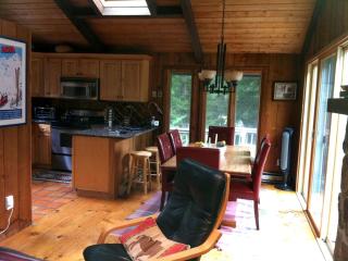 Spacious Mountain Cabin with a Sauna and Ski Trails in Jamaica, Vermont - Jamaica - 7