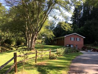 Gorgeous Suite Rental near Hot Springs, North Carolina - Marshall - 3