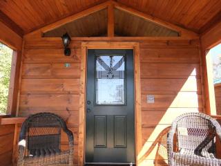 Unique Pet-Friendly Mountain Cabin Rental near Tryon International Equestrian Center - Mill Spring - 1