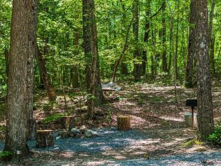 Magnificent Secluded Cabin in Fort Payne, Alabama - Fort Payne - 4