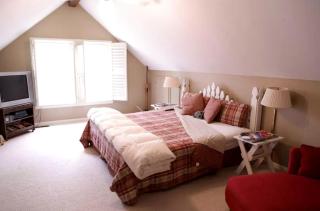 Rural Romantic Getaway with a Lilac Barn near a Fishing Pond in Greensboro, Alabama - - 6