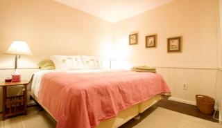 Bed and Breakfast Nature Lodge with a Yoga Studio on Stratton Mountain, Vermont - Stratton - 0