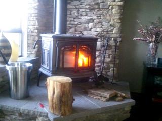 Stylish Lake Cabin with a Sauna and Hot Tub in Bellingham, Washington - Bellingham - 7