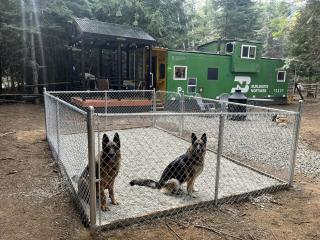 Incredible Remodeled Caboose, Pet-Friendly and Central to Outdoor Activities for an Amazing Famiily Getaway in Sandpoint, Idaho - Sandpoint - 5