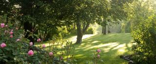 Incredible Bed and Breakfast Accommodation in Delaware County, Pennsylvania - Chadds Ford - 2