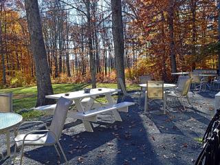 Enormous Family-Friendly Cabin Rental in Shawangunk Mountains, New York - Pine Bush - 6