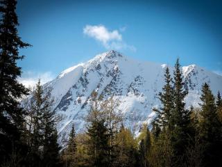 Quiet Tree House-Style Cabin in the Chugach National Forest, Alaska - 7
