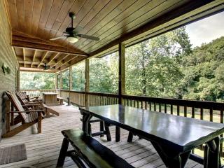 Riverside Cabin Rental in the Nantahala National Forest, Tennessee - Copperhill - 2