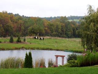 Pet-Friendly Vacation Rental on a Working Farm near Hudson, New York - Hudson - 1