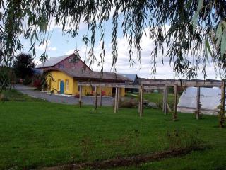 Pet-Friendly Cottage in a Working Farm near Hudson, New York - Hudson - 8