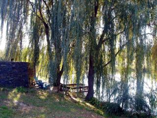 Pet-Friendly Cottage in a Working Farm near Hudson, New York - Hudson - 2