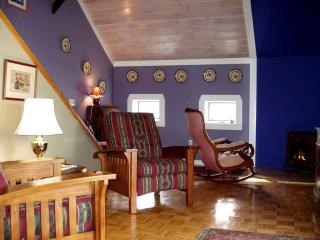 Gorgeous Getaway Suite in a Converted Barn near Hudson, New York - Hudson - 6