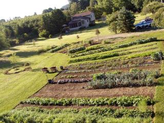 Unique Vacation Rental on a Working Farm near Hudson, New York - Hudson - 8
