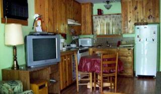 Comfortable Cottage Nestled on a Creek near Great Smoky Mountains National Park, Tennessee - Cosby - 8