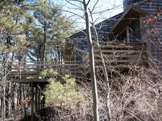 Beautifully Secluded Vacation Rental Close to the Beach in Truro, Massachusetts - Truro - 1