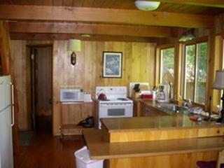Secluded Ski-In and Ski-Out Cabin with Private Sauna on Mount Hood in Oregon - Government Camp - 0