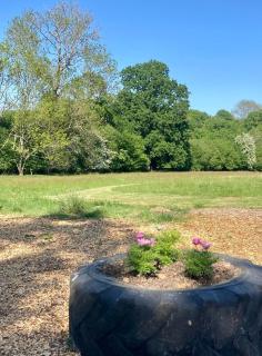 Draysey Woods Nature Escape - Ockley - 4