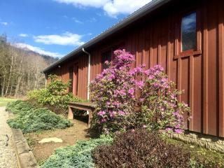 Mountain Cabin Lodge with Large Deck and Panoramic Views in West Virginia - Valley Head - 4