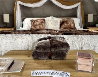 Stunning Secluded Dome with Gorgeous Forest Sights in Hermosa, South Dakota - Hermosa - 4