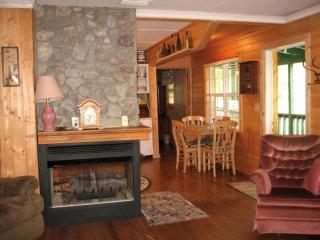 Romantic Cabin Retreat with River Access near Cowee, North Carolina - Franklin - 9