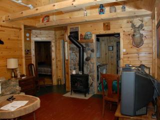 Secluded Camping Cabin near Flambeau River State Forest, Wisconsin - Birchwood - 5