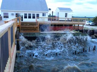 Pet-Friendly Cottage Rental with Stunning Decking on Delaware Bay, New Jersey - - 9