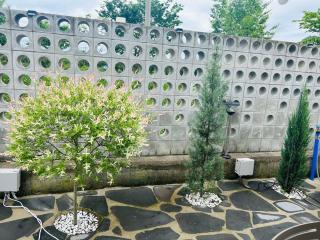 Peridot Pool Village Pension - Samgong - 3