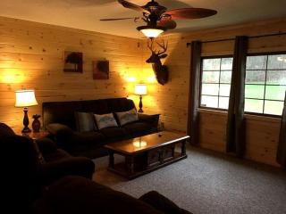 Rustic Cabin Getaway with a Hot Tub in Nelsonville, Ohio - Nelsonville - 9
