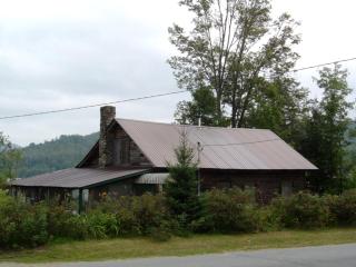 Rustic Camping Cabin Rental on a Lake near Adirondack Mountains in New York - - 4