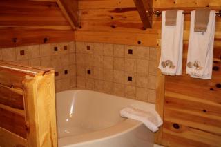 Picturesque Suite with Indoor Jacuzzi Tub in West Virginia - Valley Head - 3