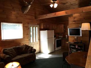 Secluded Cabin Rental with a Hot Tub in Nelsonville, Ohio - Nelsonville - 8
