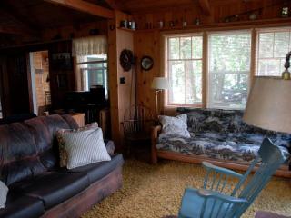 Woodland Staycation Cabin Two Hours from Minneapolis in Birchwood, Wisconsin - Birchwood - 5