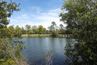 Charming Tiny House Next to Pond in Jacksonville, Florida - Pine Bluff - 6