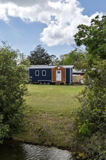 Charming Tiny House Next to Pond in Jacksonville, Florida - Pine Bluff - 4