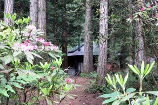 Rustic and Romantic Tree House Cabin in Chimacum, Washington - Chimacum - 6