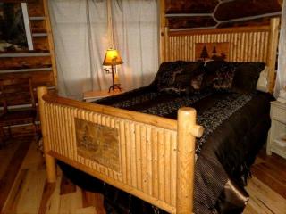 Rustic Riverside Cabin with Hot Tub in Dubois, Wyoming - Dubois - 7