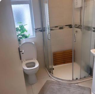 Stylish house in Dublin - Lucan - 6