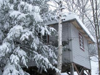 Charming Cabin Rental near the Green Mountains in Northfield, Vermont - Northfield - 5