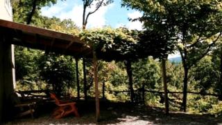 Spacious Cabin Tucked Away in the Mountains near Highlands, North Carolina - Highlands - 8