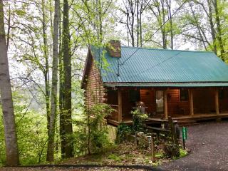 Cozy Wooden Cabin Nestled Amidst Trees in Sevierville, Tennessee - Sevierville - 1