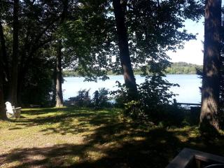 Lakeside Cabin Rental in the Woodlands of Indian Point, Wisconsin - Birchwood - 8