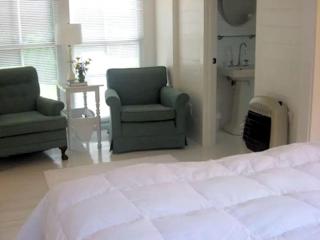 Bright Cottage for a Couples' Getaway Eight Miles from Charlottesville, Virginia - Charlottesville - 5