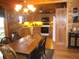Secluded Cabin Rental with Panoramic Smoky Mountain Views in Murphy, North Carolina - Murphy - 3