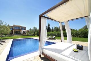 Olivo De La Roca - Pollença - 0