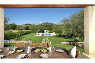 Olivo De La Roca - Pollença - 5